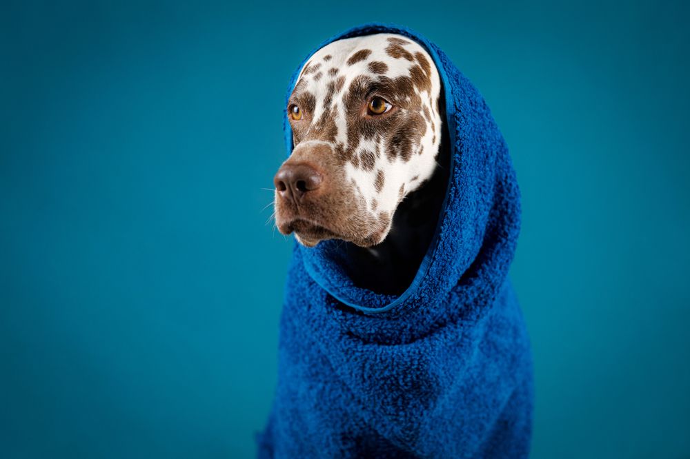 Photograph by Яна Нарбутович