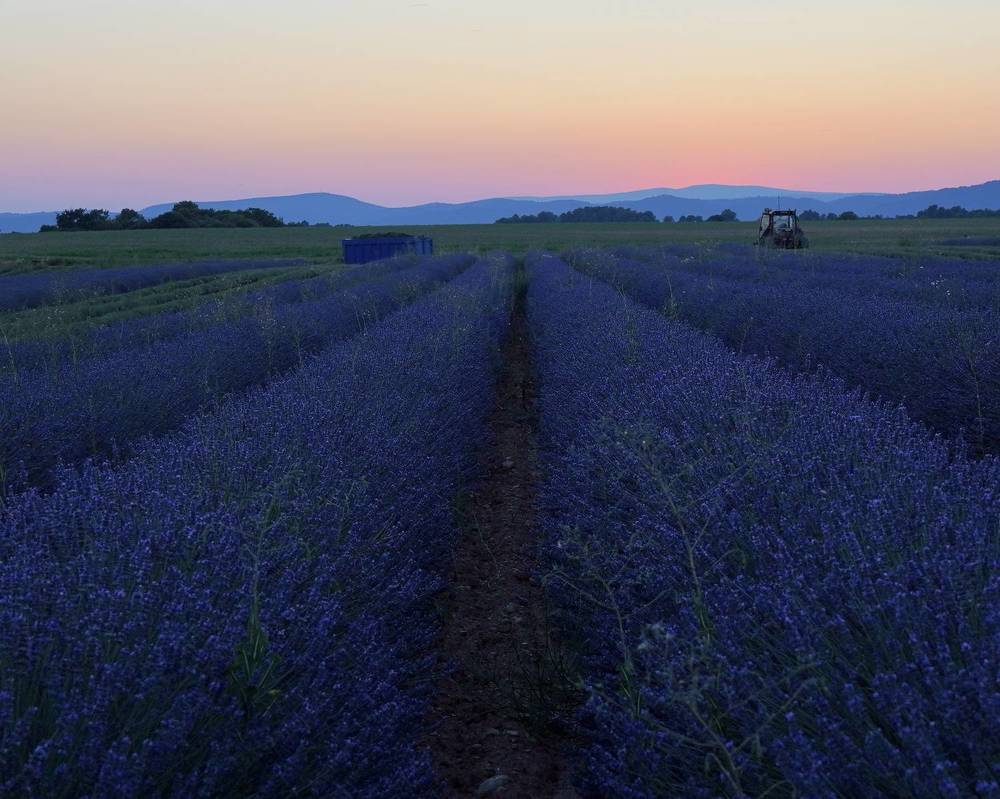 Photograph by Marina Odintsova