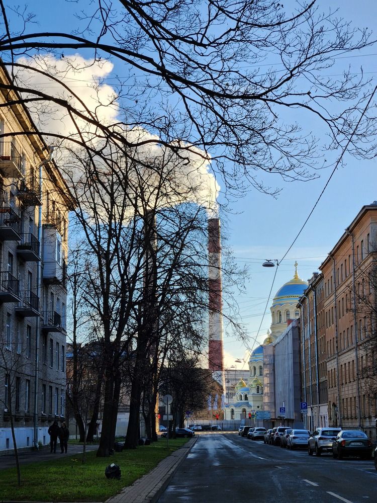 Фотография автора Нонна Подольская