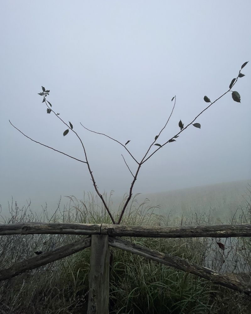 Фотография автора Olga Alekseeva