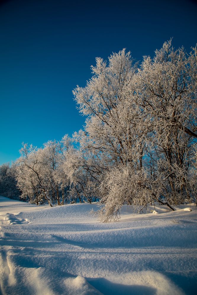 Photograph by Solovki Fond
