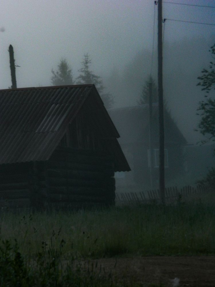 Photo #11331460