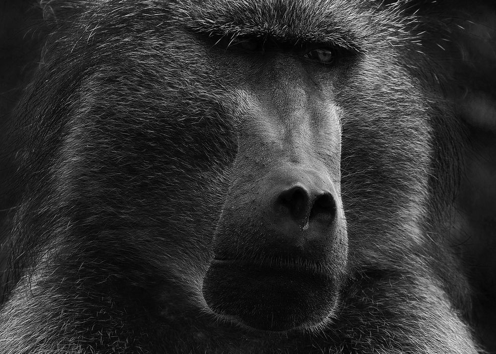 Photograph by Грибова Наталья