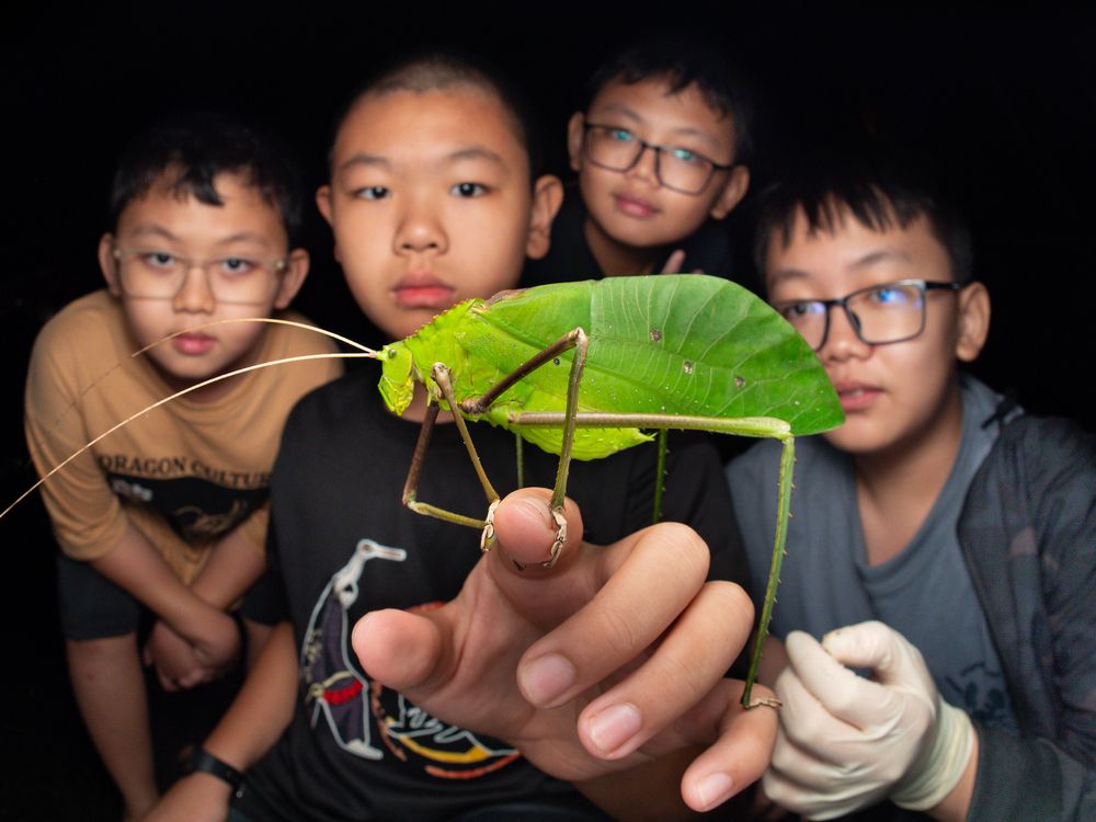 Фотография автора TAN LING ZI