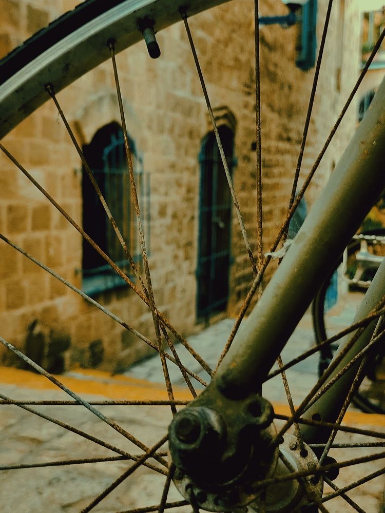 Фотография автора Galina Israilov