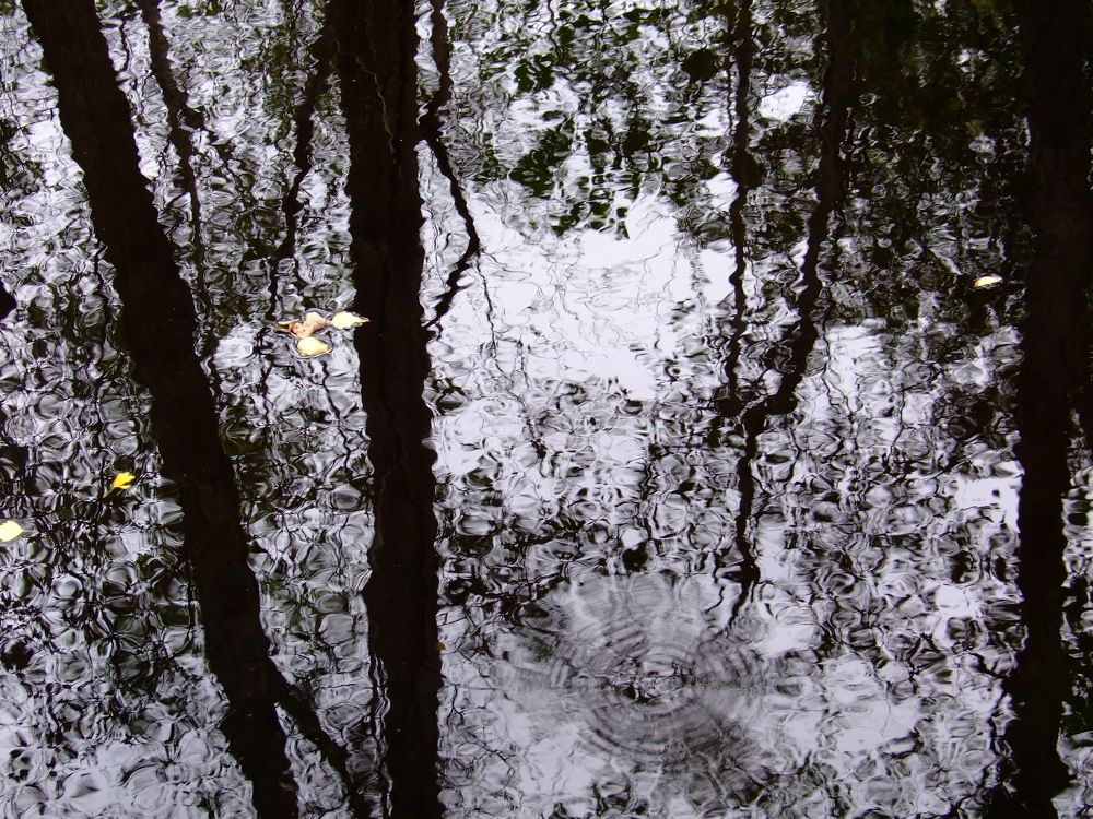 Photograph by Надежда