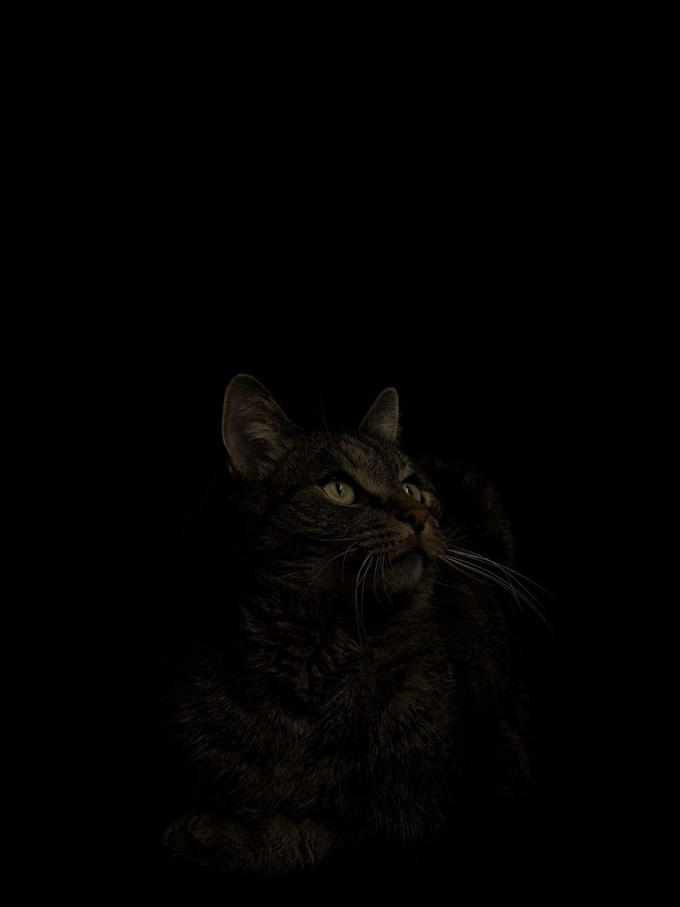 Photograph by Anastassia D