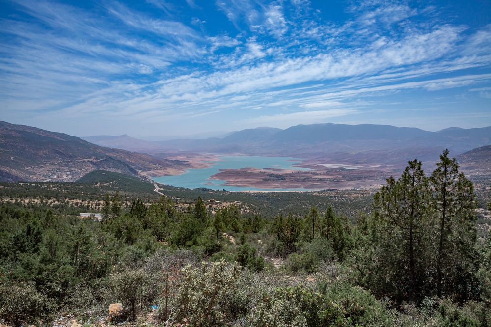 Photograph by Светлана Саиди