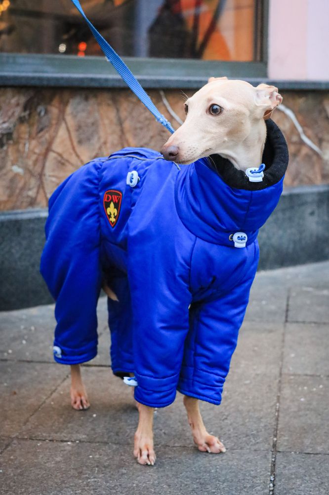 Photograph by Наталия Трофимова