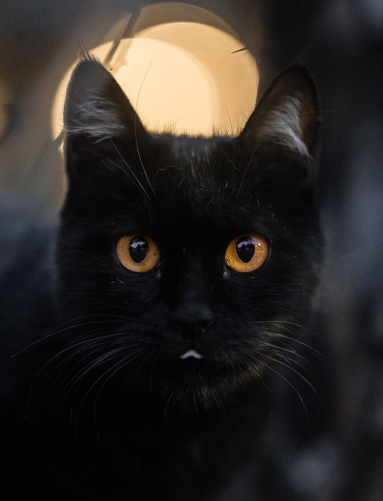 Photograph by Mostafa Moradi