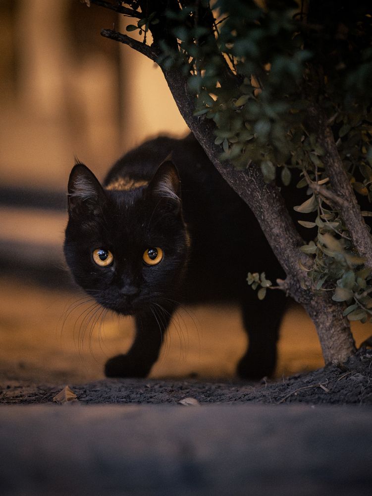 Photograph by Mostafa Moradi