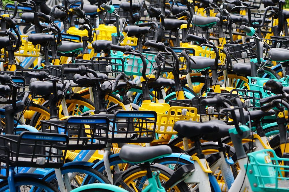 Фотография автора Liudmila Kiermeier