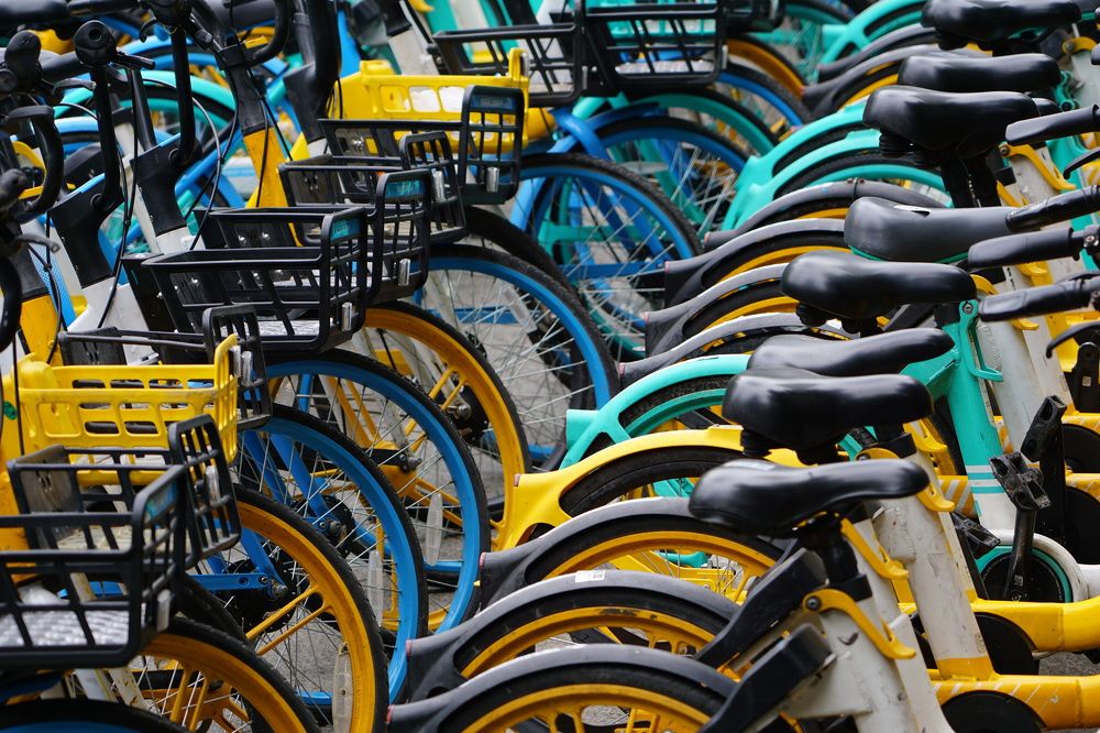 Фотография автора Liudmila Kiermeier