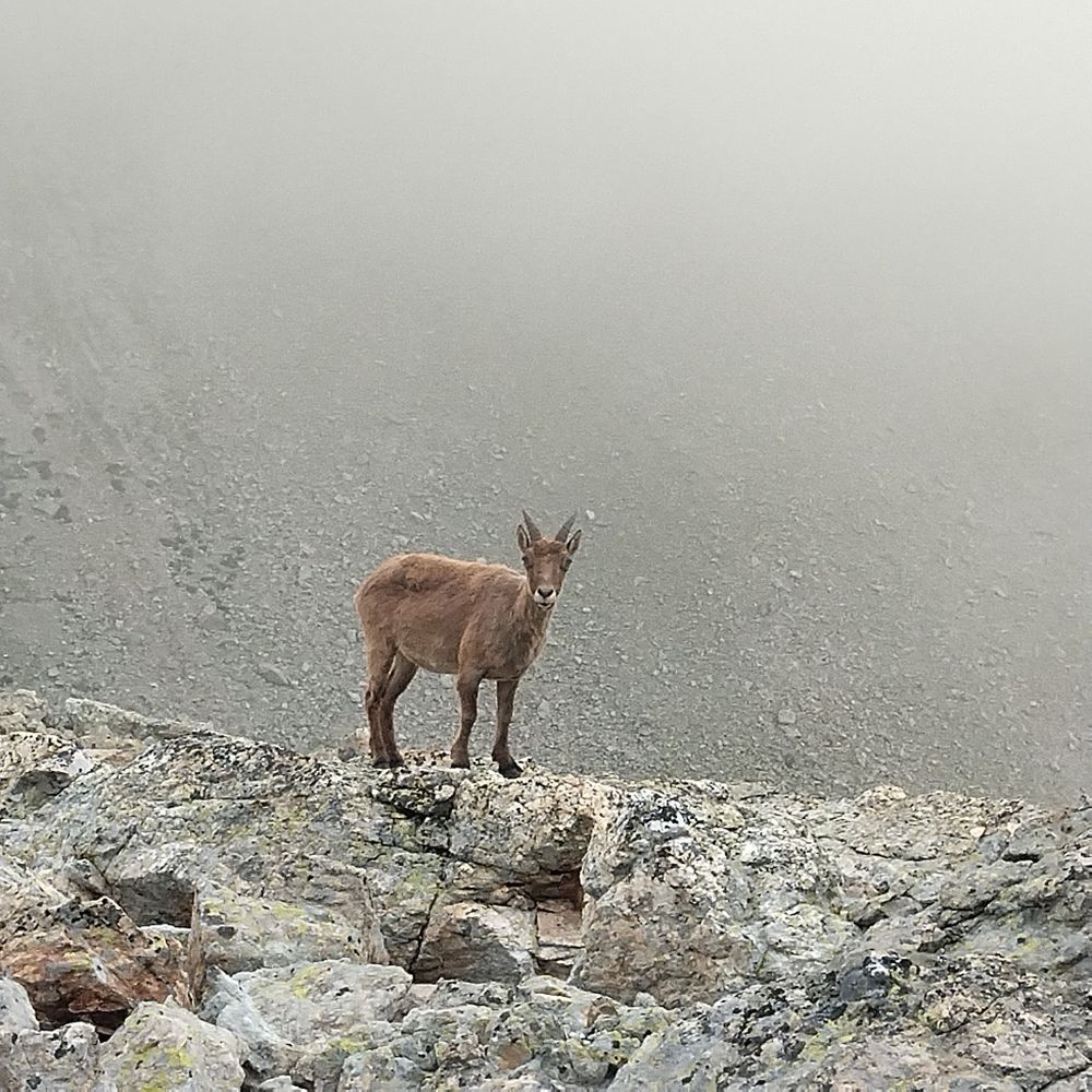 Photograph by Наталья Бурименко
