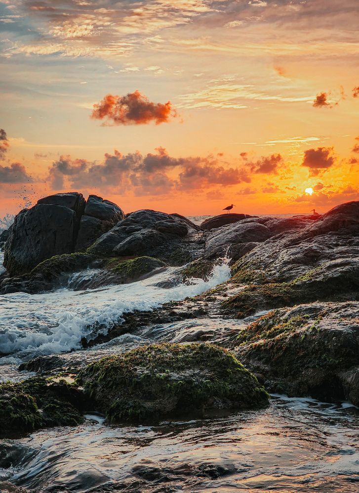 Photograph by Элен Пройс