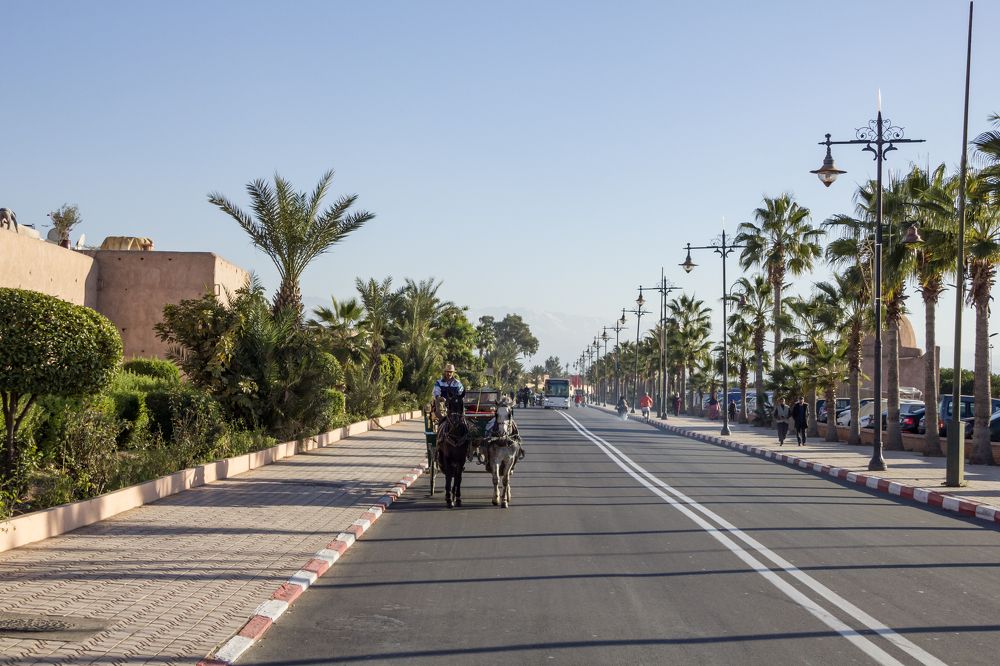 Photograph by Светлана Саиди