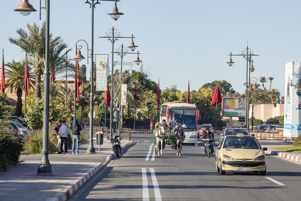 Photograph by Светлана Саиди