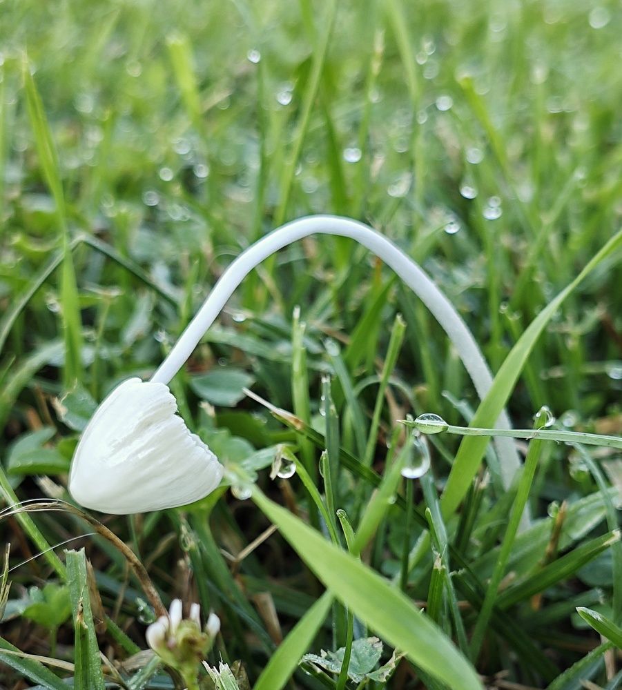 Фотография автора Евгения Владимировна