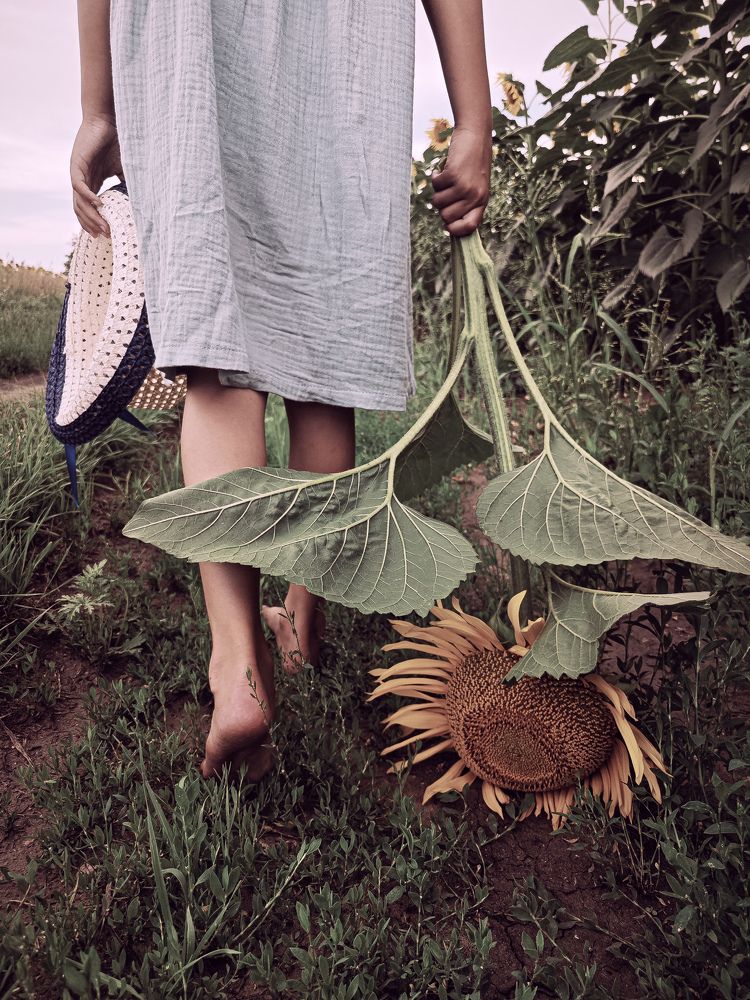 Фотография автора Евгения Владимировна