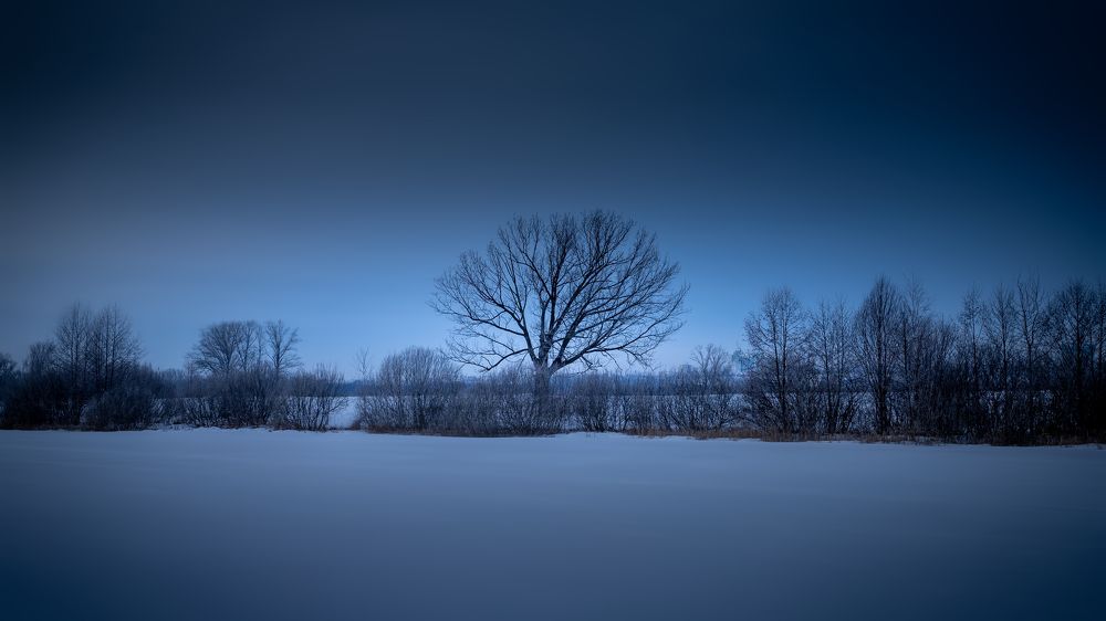 Photograph by Сергей Кочетов