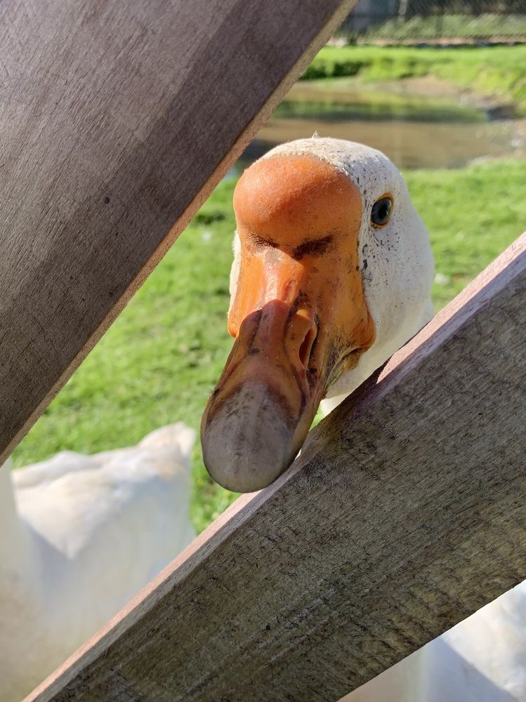 Photograph by Наталья Бирук