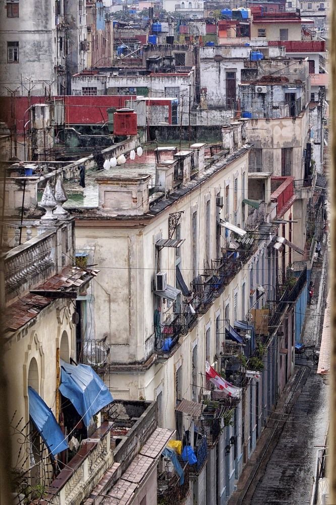 Photograph by Luisa Martina Hernández