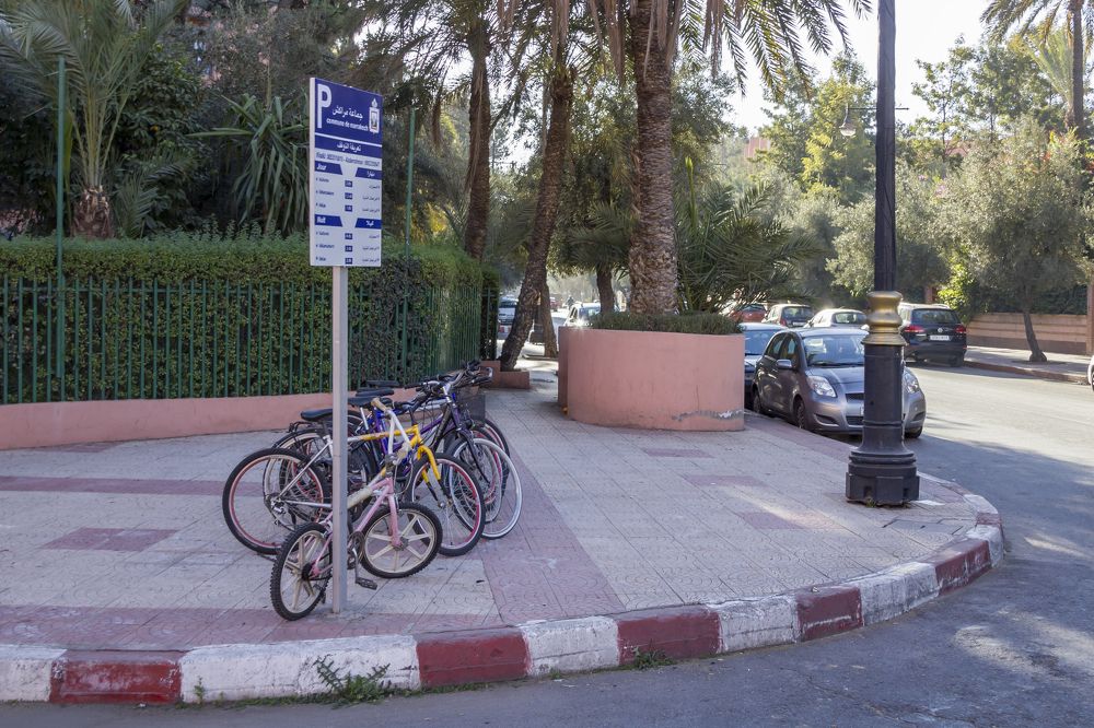 Photograph by Светлана Саиди