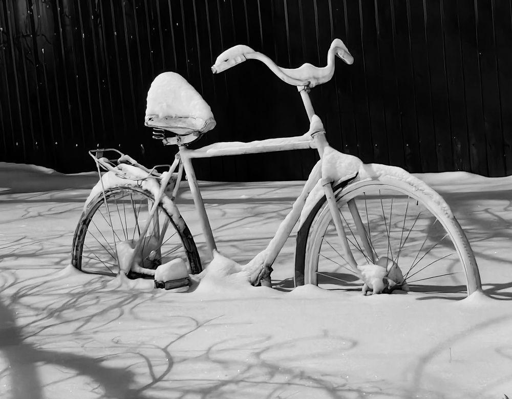 Photograph by Светлана