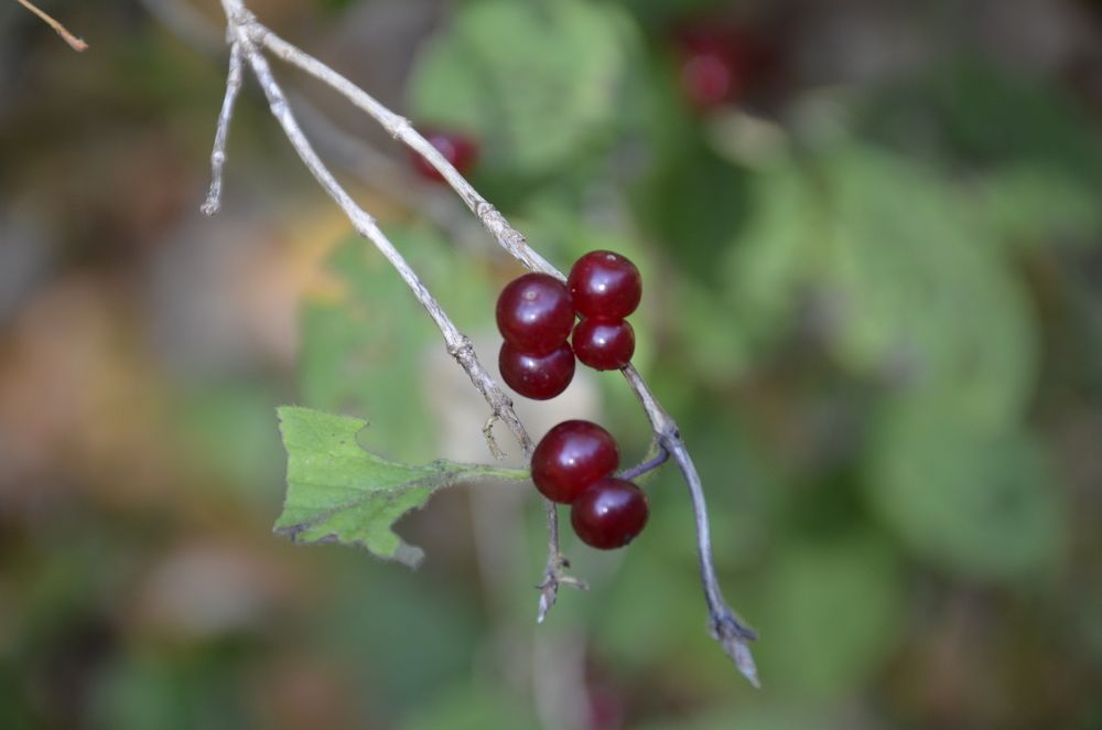 Фотография автора Алексей Власов