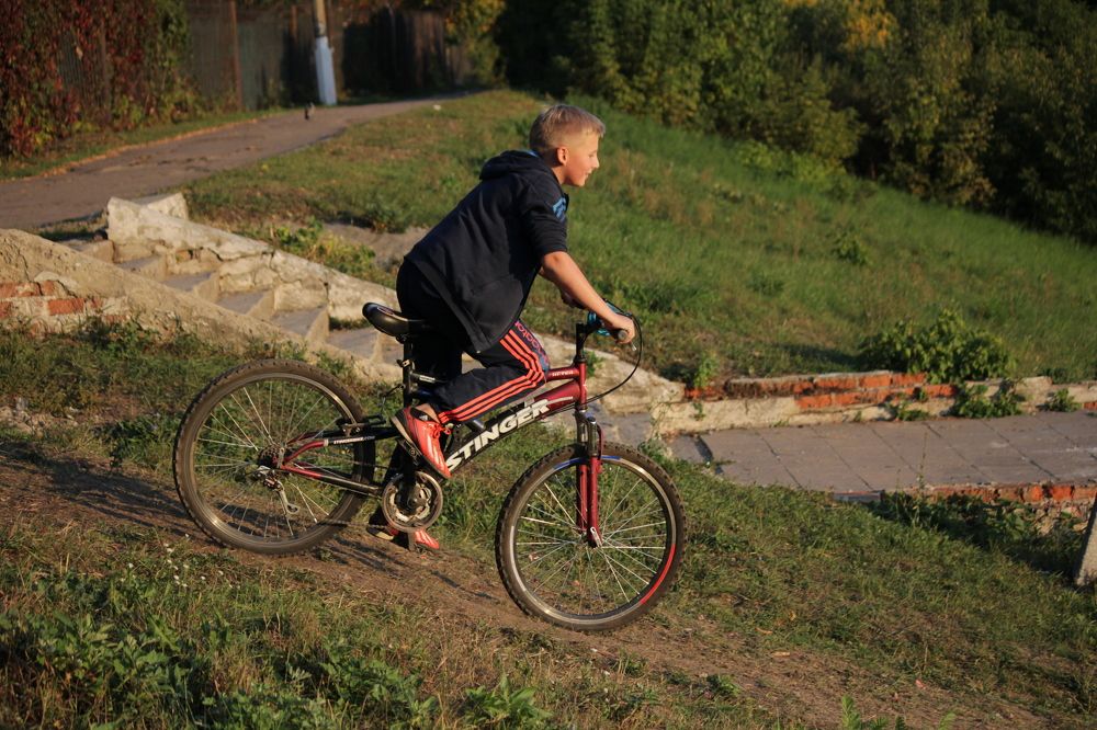 Фотография автора Колосова Елена