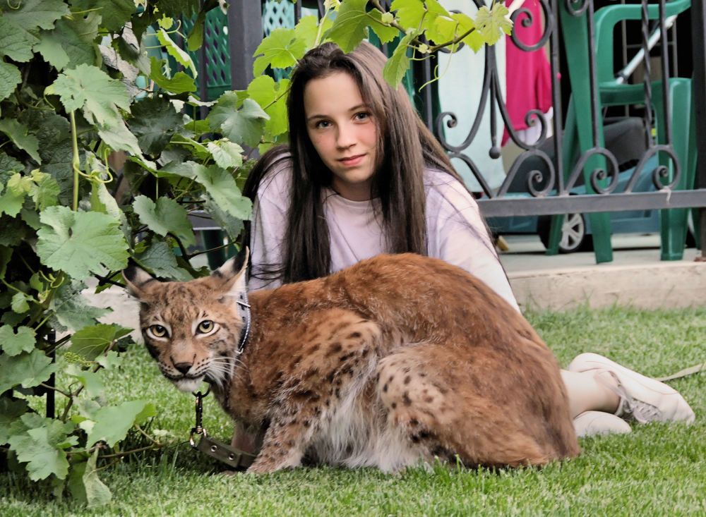 Photograph by Павел Nikulochkin