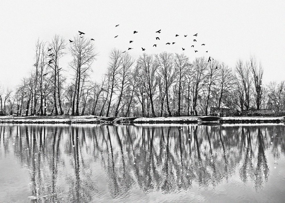 Photograph by Iraj Jabbari