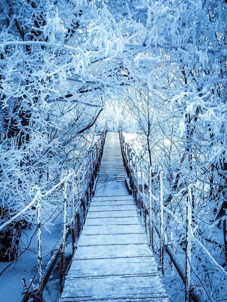 Фотография автора Игорь Васильев