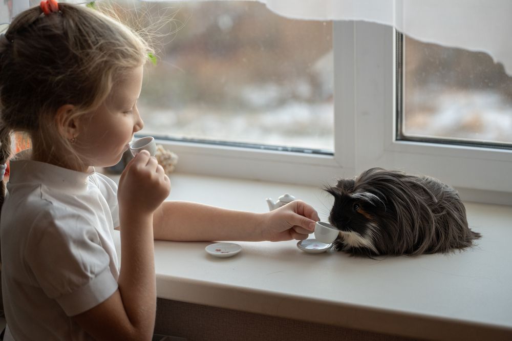 Photograph by Olesya Vladimirova