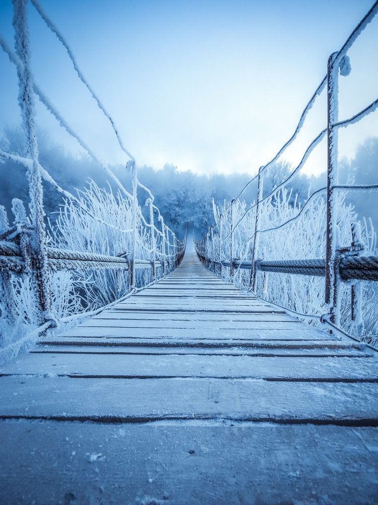Фотография автора Игорь Васильев