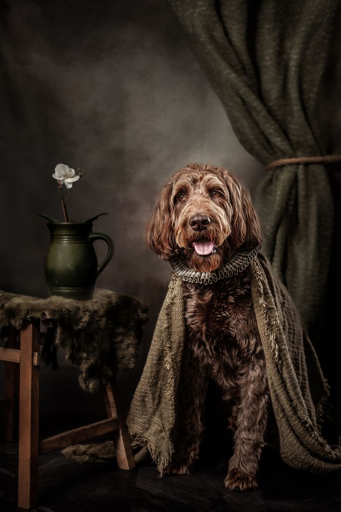 Фотография автора Goené Gertrude