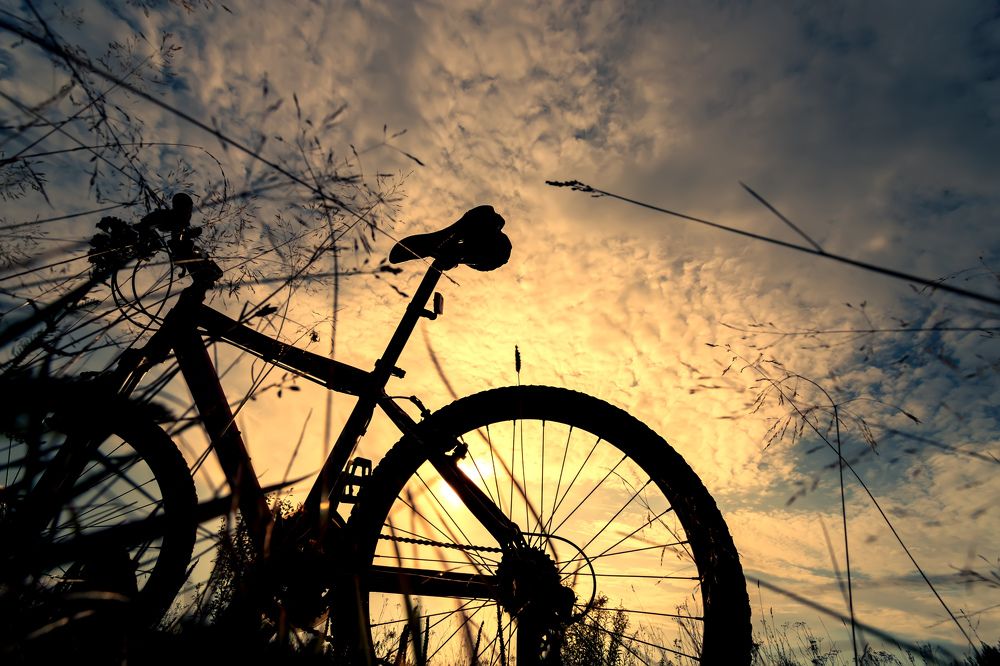 Photograph by Сергей Кочетов