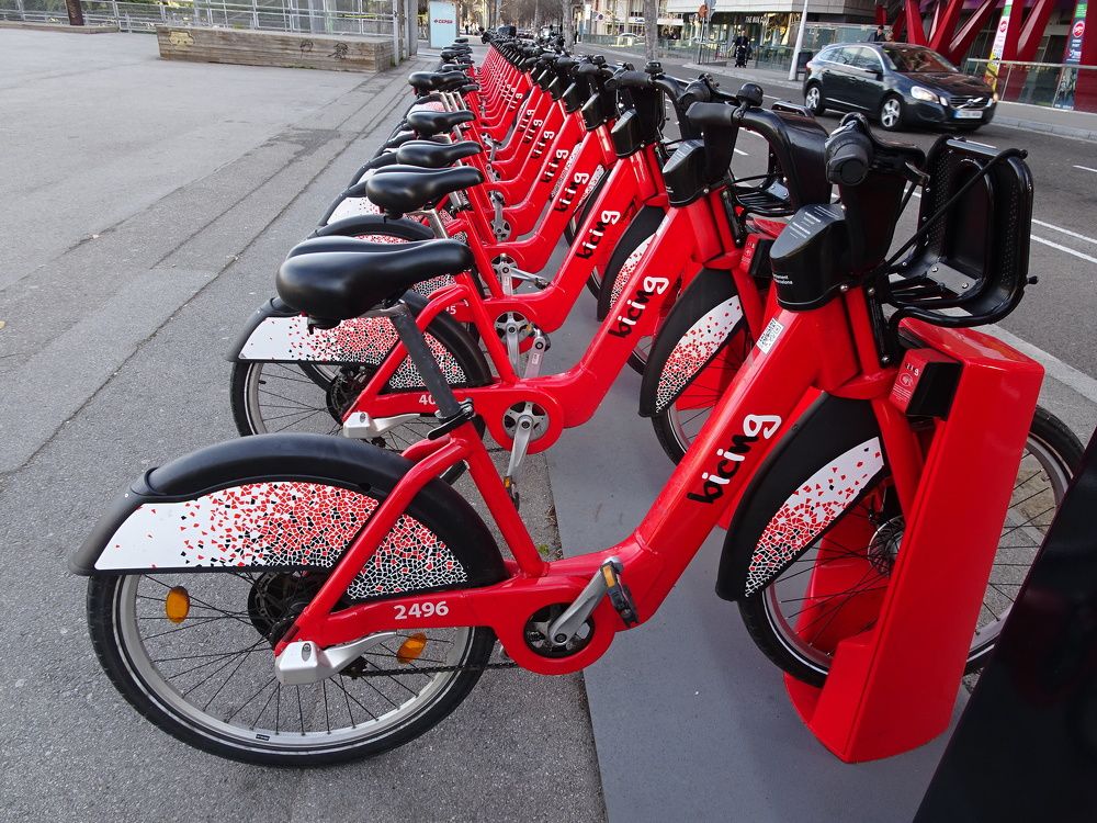 Photograph by Мила Милая