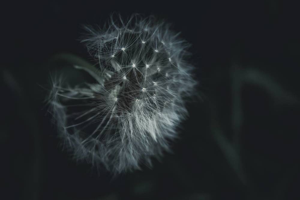 Photograph by Екатерина Никитина