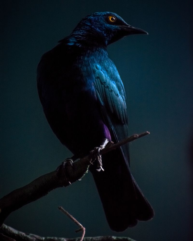 Photograph by Николай Головко