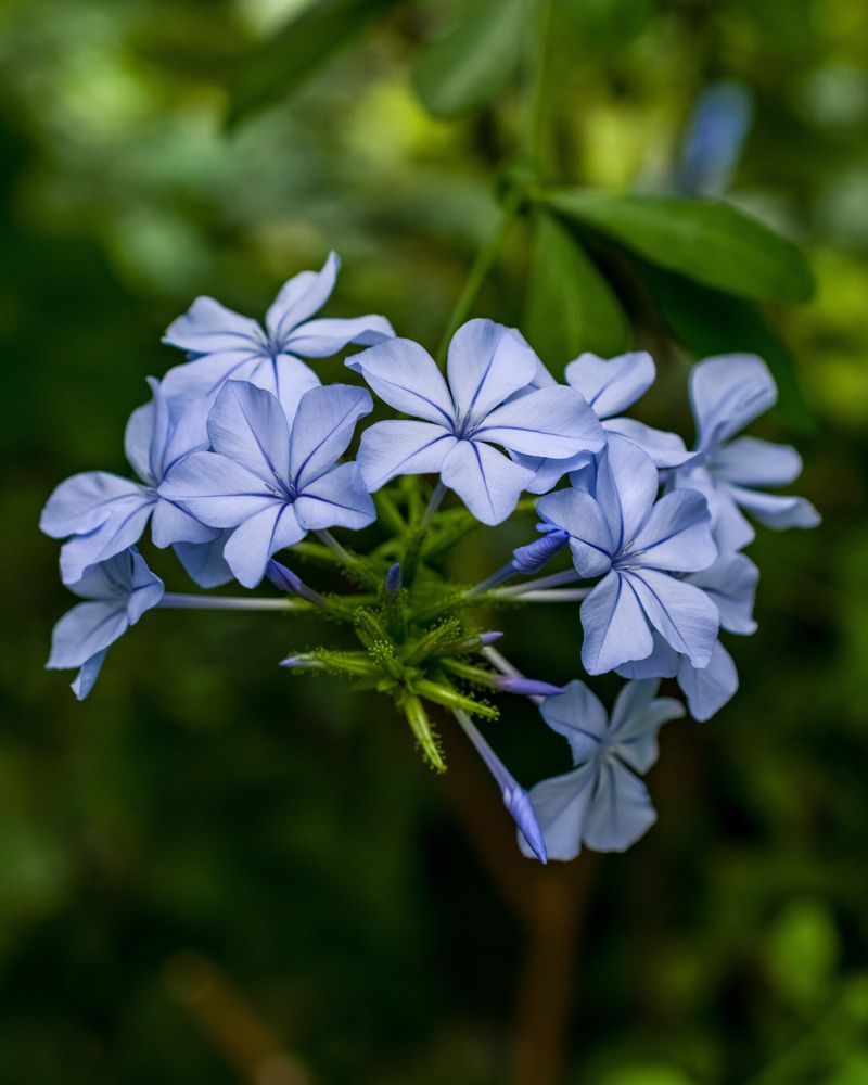 Photograph by Николай Головко