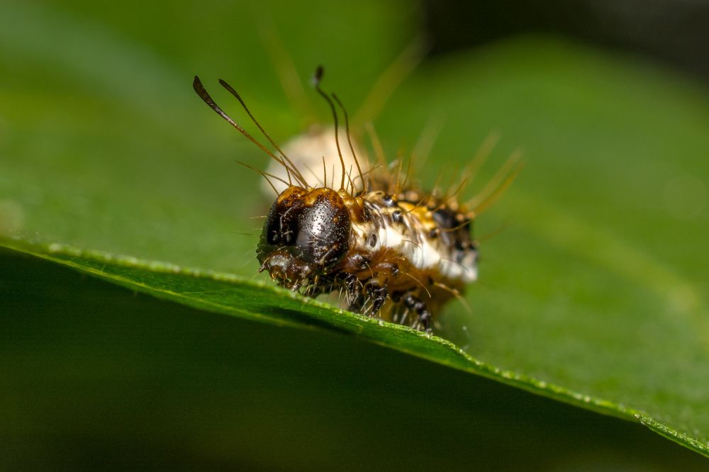 Photograph by Николай Головко