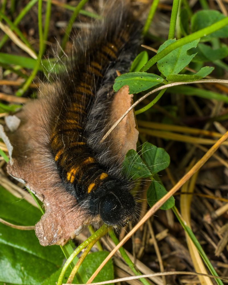 Photograph by Николай Головко