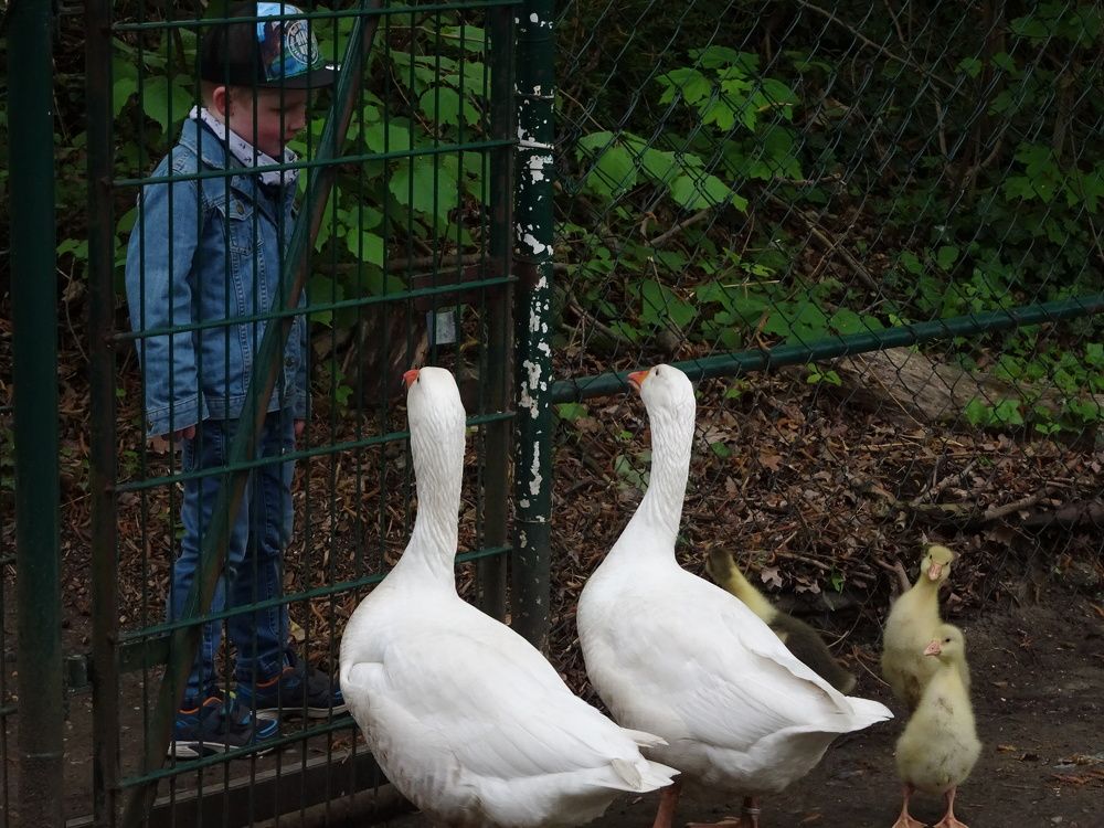 Photograph by Мила Милая