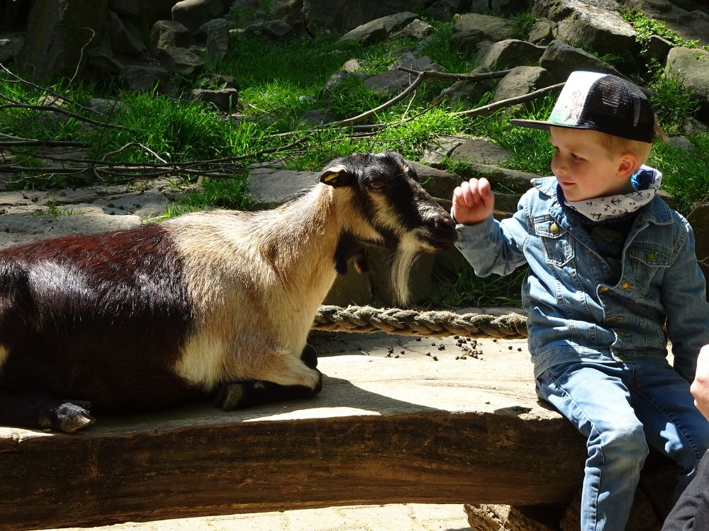 Photograph by Мила Милая