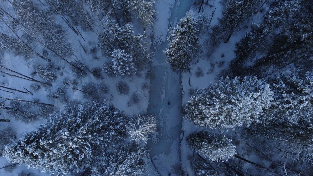 Photograph by Екатерина Синегубова