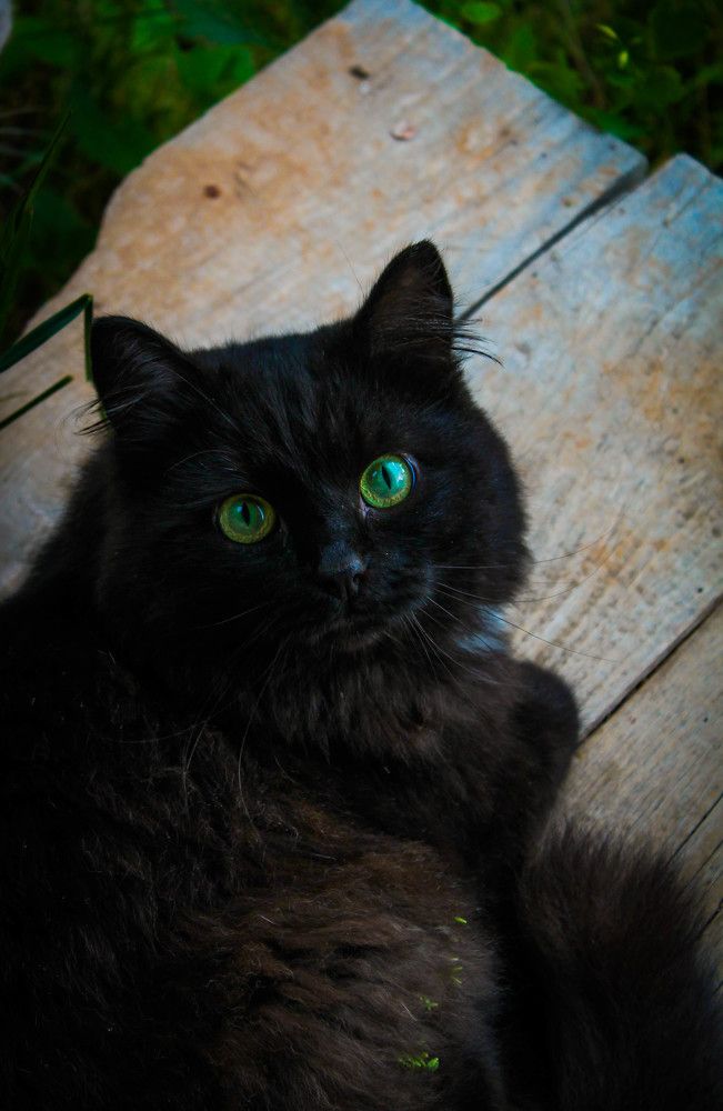 Photograph by Любовь Иванова