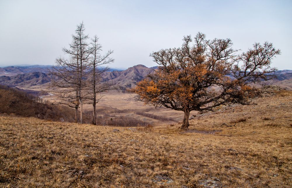 Photograph by Семенов Александр