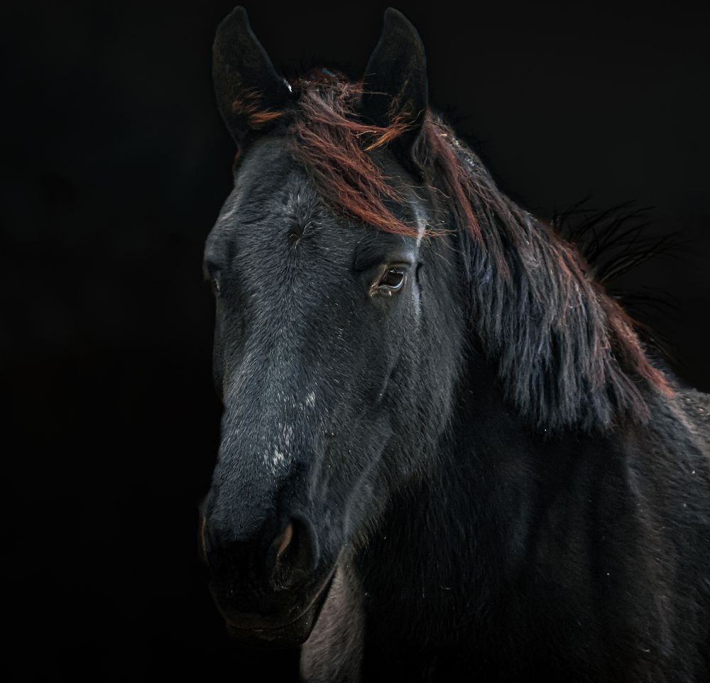 Photograph by Eva Wiedemann