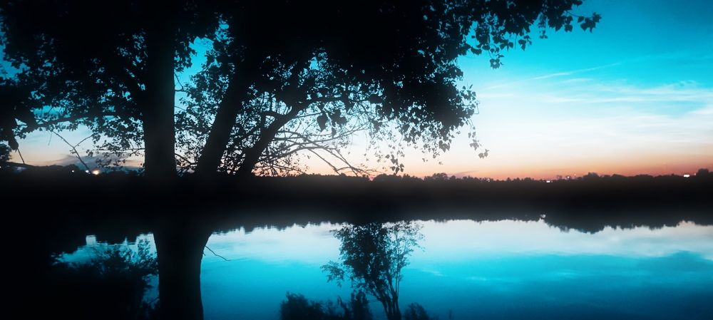 Photograph by Mishel Photographer